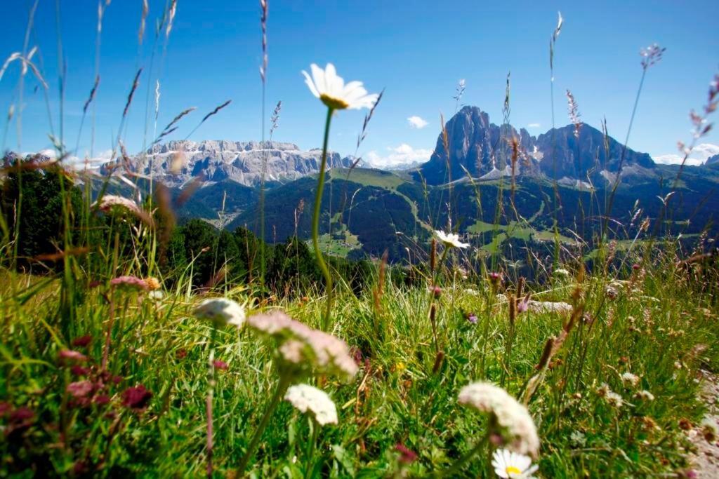Garni Hotel Bel Vert Selva di Val Gardena Exterior photo